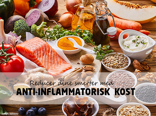 KOSTEN OG DENS INDVIRKEN PÅ SKOLIOSE & SMERTEHÅNDTERING